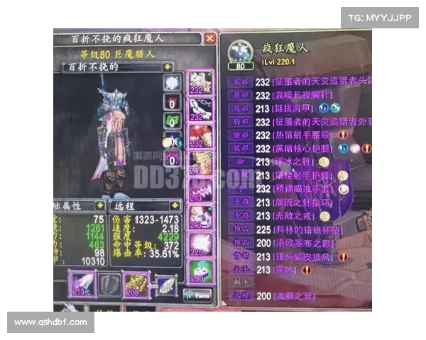 魔兽世界大鸟购装攻略